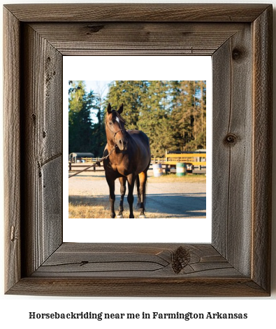 horseback riding near me in Farmington, Arkansas